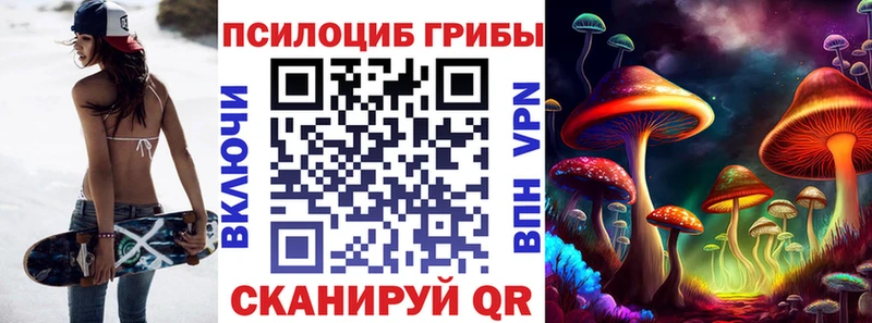 Псилоцибиновые грибы Psilocybe  Кохма 